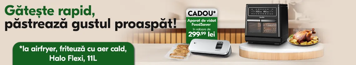 Campanie Breville VDF130X-01