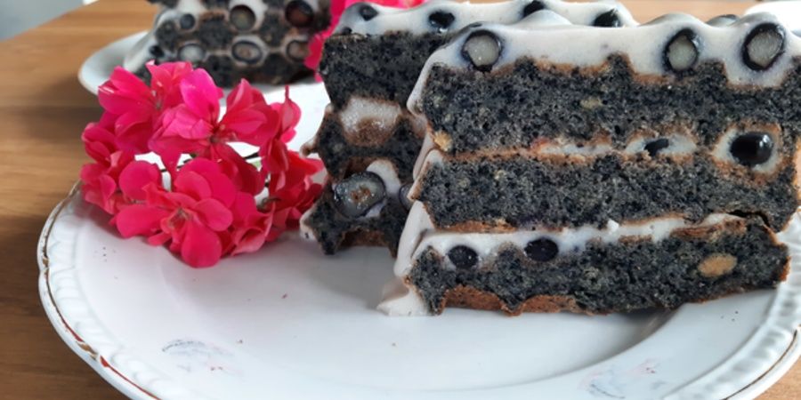 Rețetă tort vegan de vafe (fără gluten) cu afine la aparatul de gofre Duraceramic by Dieta de rotație